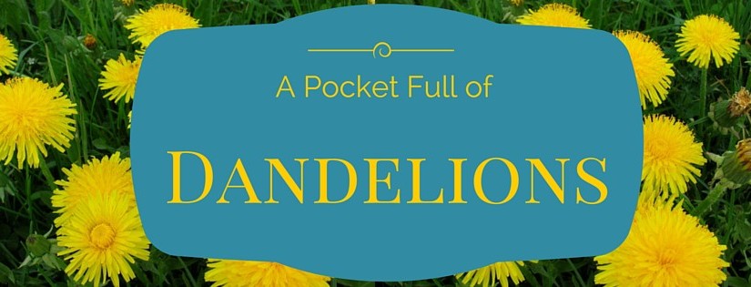 A Pocket Full of Dandelions 